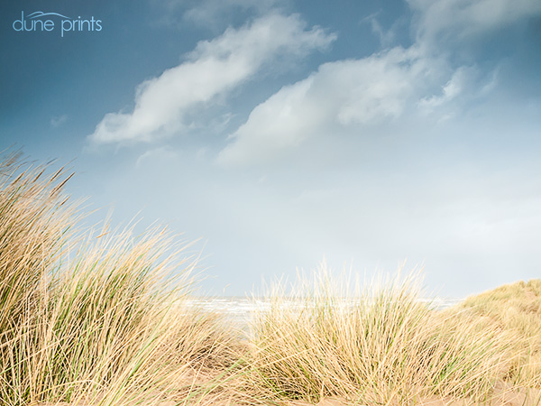 Cloudscape with Marram